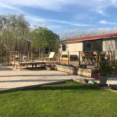 فيلا Tiny House Sur La Cote D'Azur Hyères المظهر الخارجي الصورة